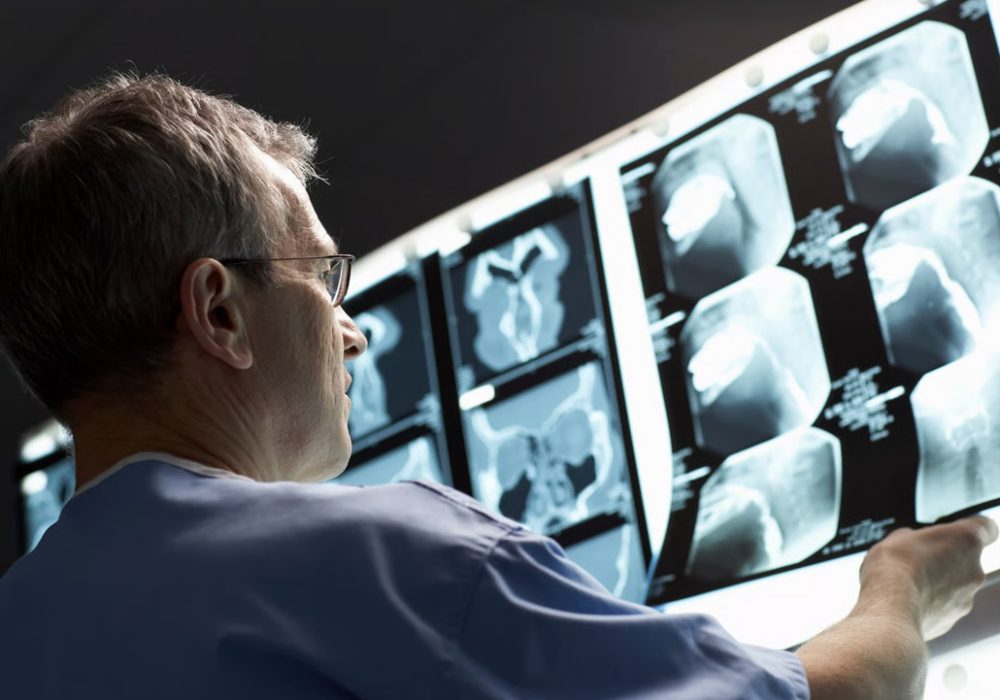 Doctor examining anatomical model of human body.